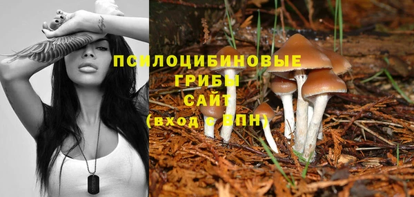 дмт Навашино