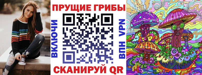 где купить наркотик  OMG онион  Псилоцибиновые грибы Cubensis  Мирный 